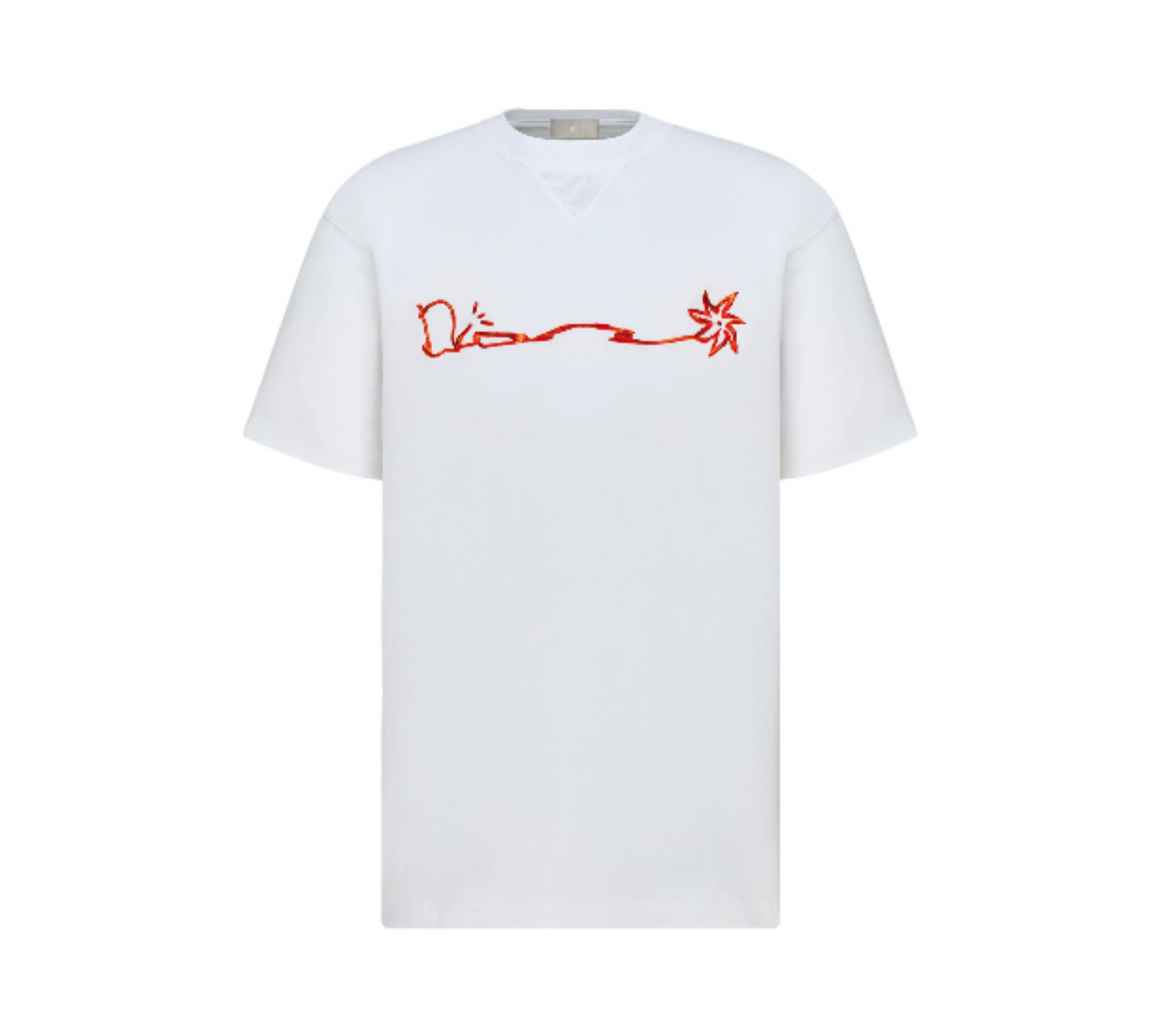 Dior X Cactus Jack T-shirt